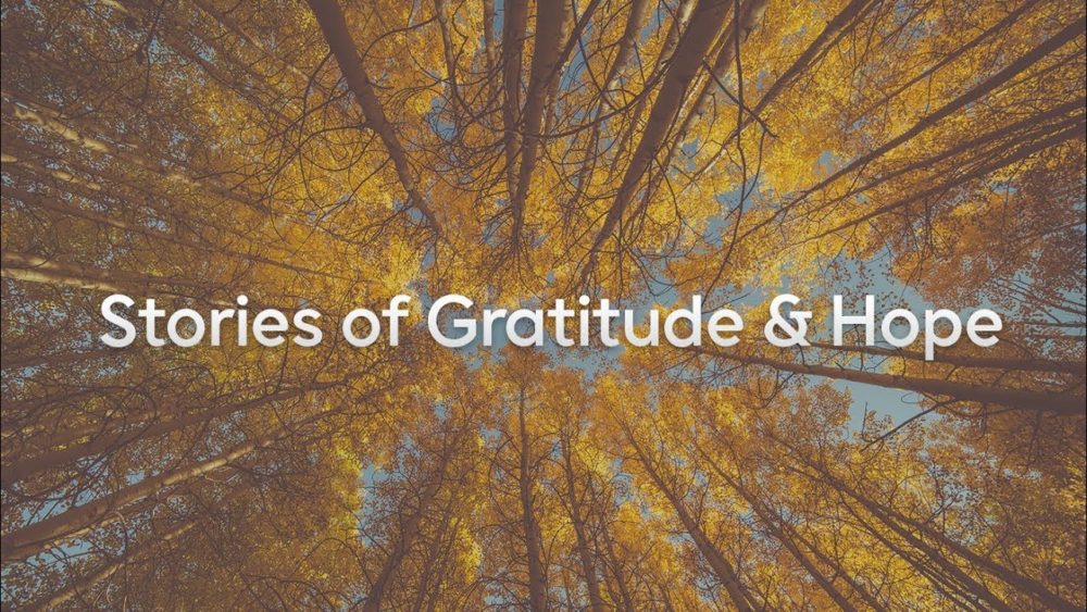 Thanksgiving Sunday: Stories of Gratitude & Hope Image