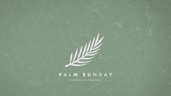 Palm Sunday - Lessons from the Triumphal Entry Image